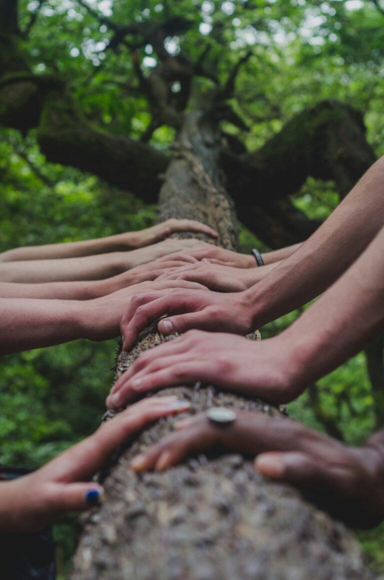 Hands from different people placed on a log.